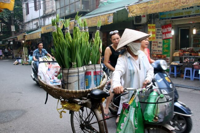 Hanoi woman