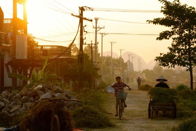 Ninh Binh Rice Harvesting