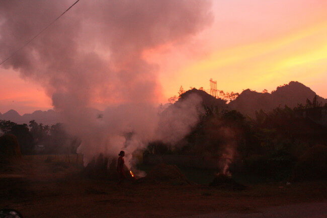 Burning rice straw ninh binh vietnam